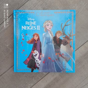 Livre La reine des neiges II