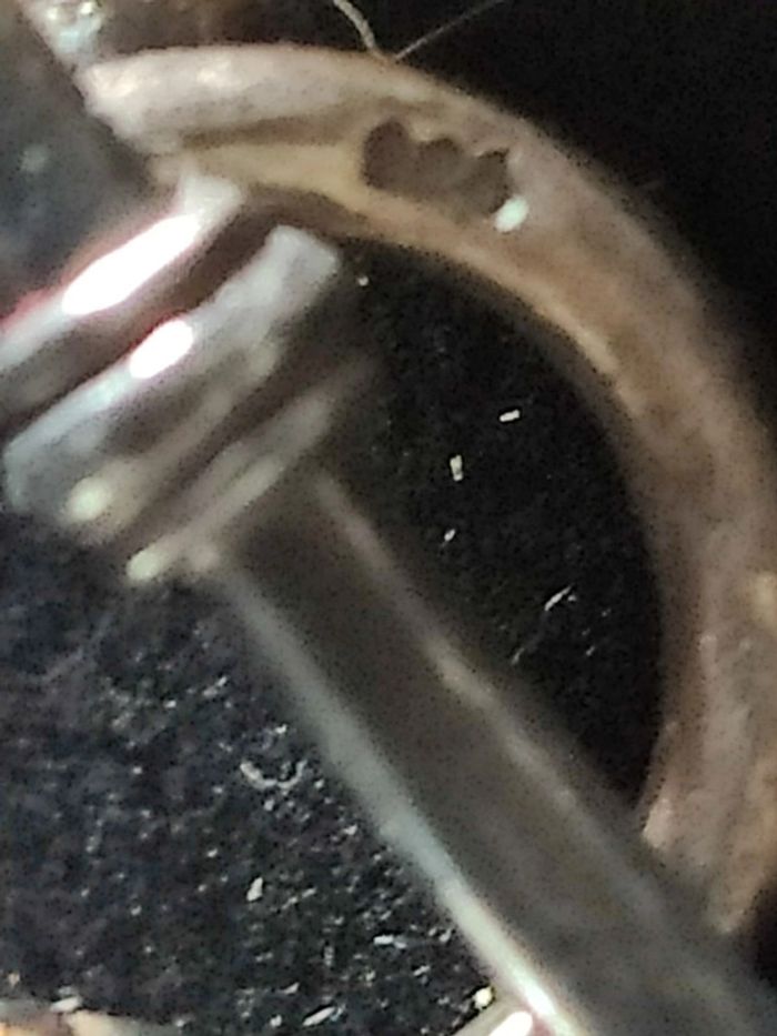 Collier de perles - photo numéro 6