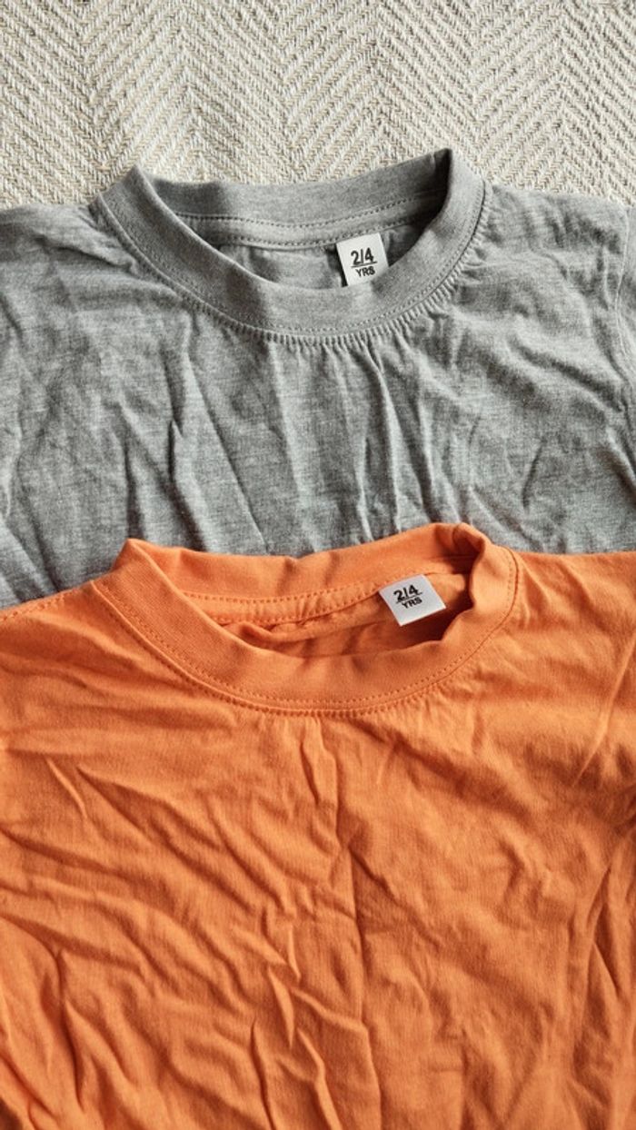 Lot de 2 tee-shirts enfant taille 2/4 ans - photo numéro 5