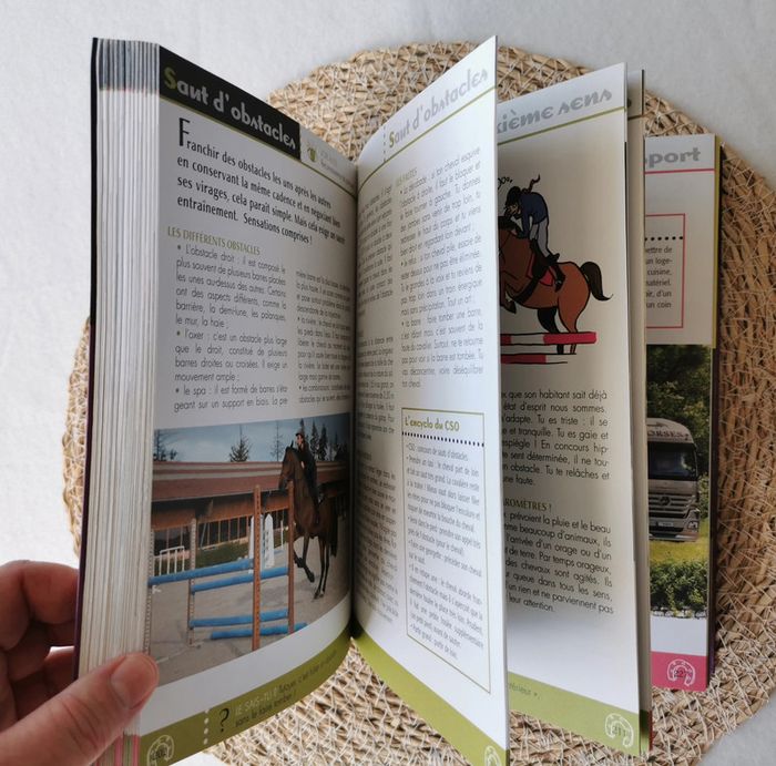 L'encyclopédie 🐴 de la cavalière qui veut tout savoir ! - photo numéro 11