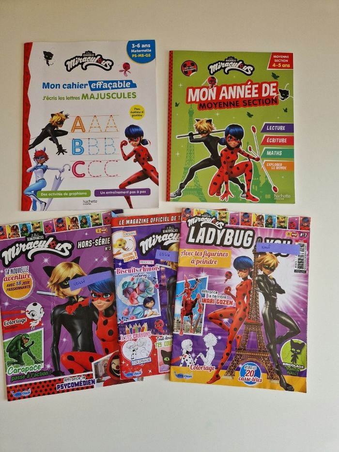 Lot de 5  cahiers Miraculous
