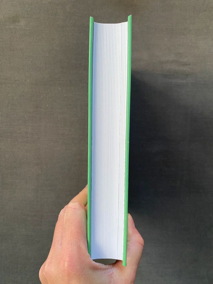 BD le goût du Kimchi éditions sarbacane - photo numéro 4