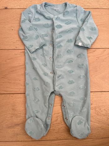 Grenouillère absorba