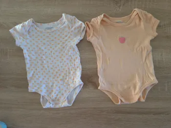 Lot 2 bodys manches courtes 12 mois