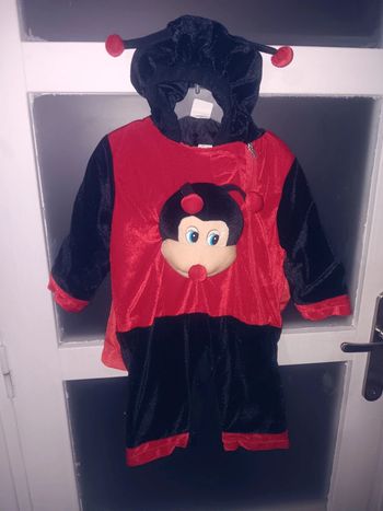 Combinaison déguisement coccinelle  12/18 mois