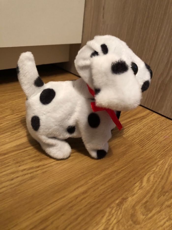 Chien qui marche - photo numéro 2