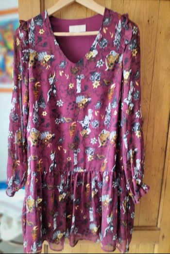 Robe les vilains /disneyland paris