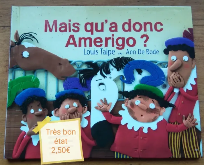 Livre Mais qu'a donc Amerigo ?