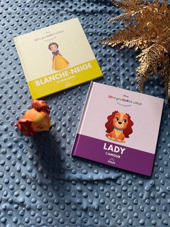 Livre Disney, Plus 1 figurine 