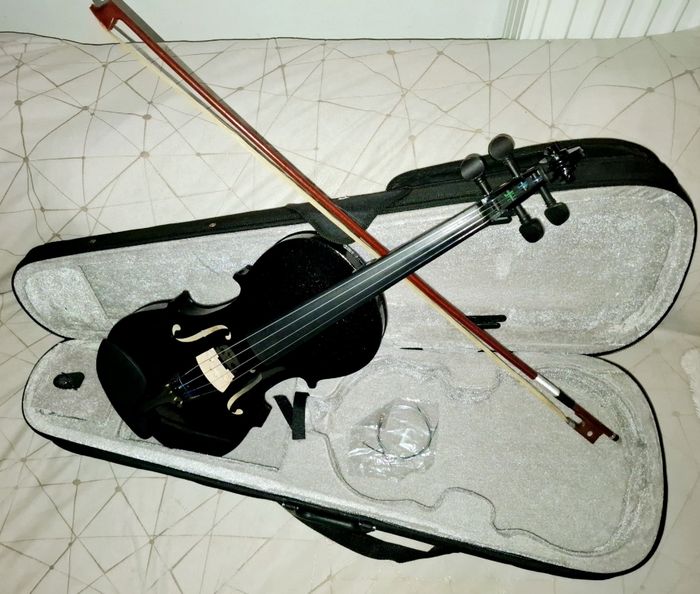 Violon entier + cordes + boite + archet - photo numéro 4