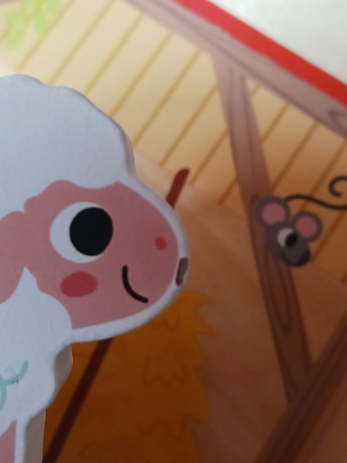 Ferme en bois - photo numéro 8