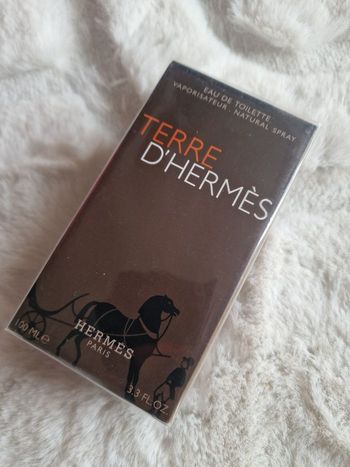 Terre d'Hermès Eau de toilette pour homme 100 ml