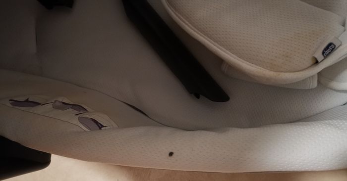 Couffin/ landau Trio love de Chicco - photo numéro 3