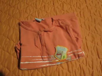 T-shirt taille  18 mois garçon