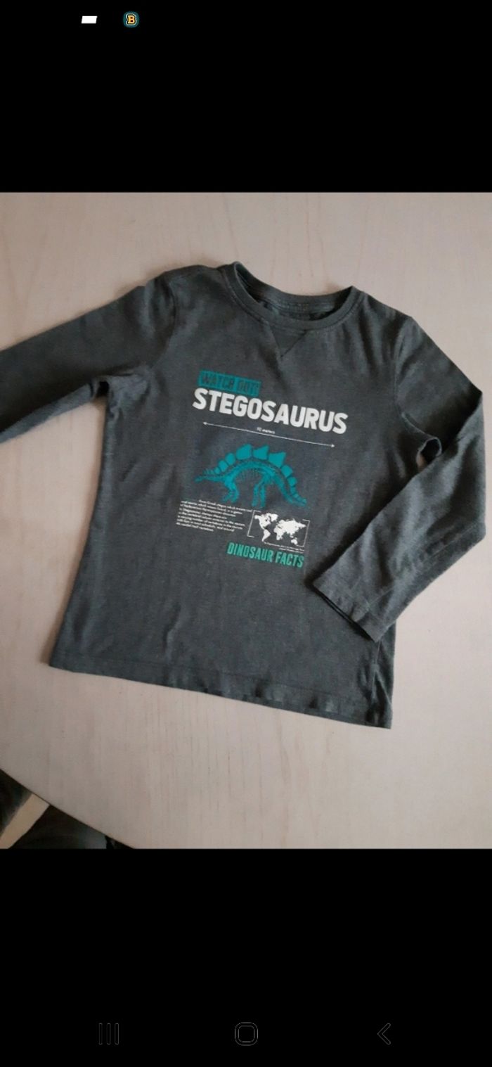 Tee-shirt dinosaure 4/5 ans