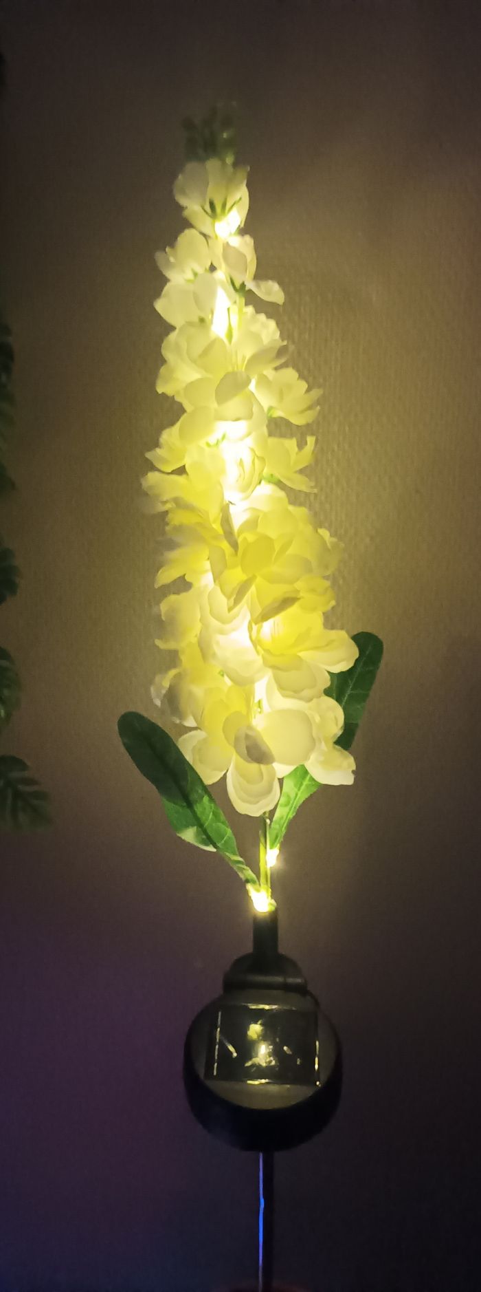 Fleurs solaire - photo numéro 7