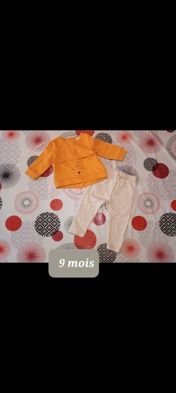 Tenue ensemble 🦁 taille 9 mois comme neuf