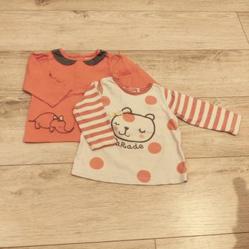 Lot de deux tee-shirts bébé fille à manches longues 