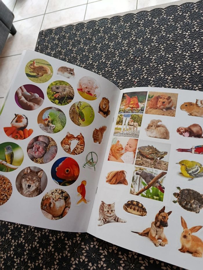 Cahier d'activités animaux de compagnie - photo numéro 3