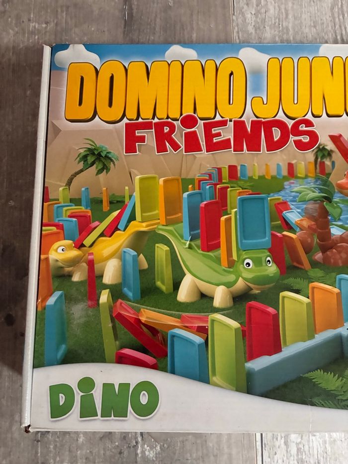 Domino junior friends - photo numéro 5
