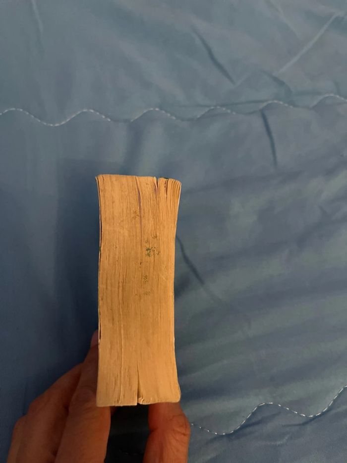 Mini dictionnaire Anglais Arabe - photo numéro 3