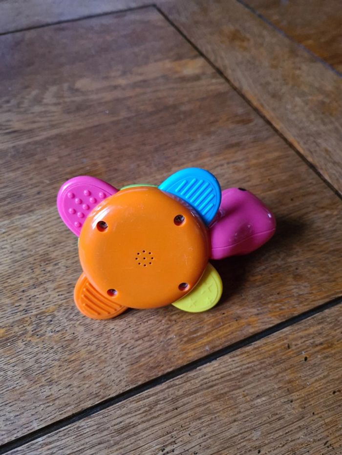 Tortue hochet - photo numéro 3