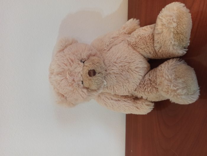 ourson calin histoire d'ours