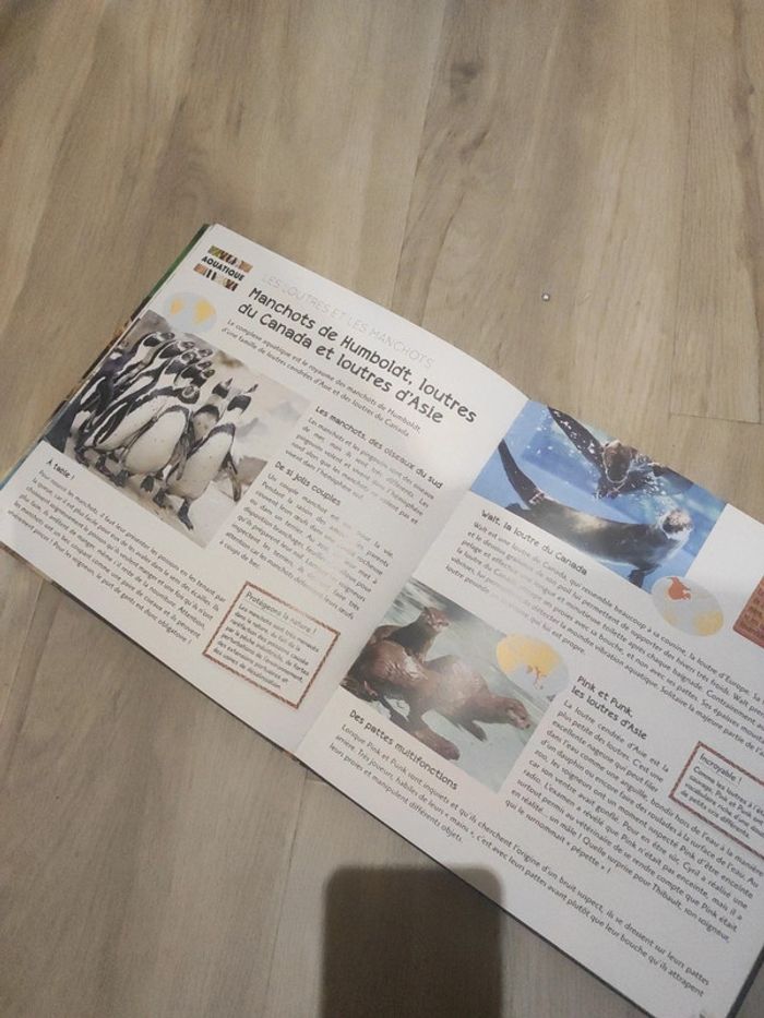 Livre une saison au zoo - photo numéro 3