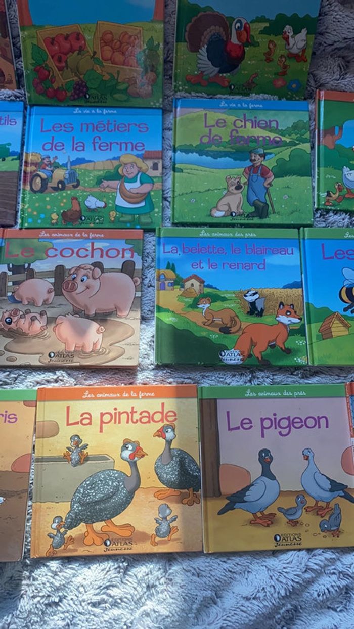 lot collection livre augustin et la ferme - photo numéro 8