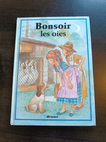 livre BONSOIR LES OIES