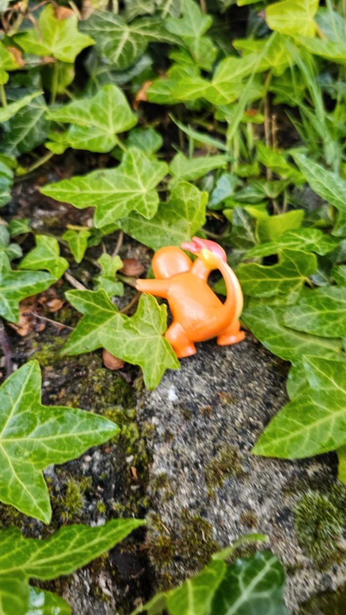 Super figurine Pokemon Nintendo Salameche effet brillant - photo numéro 3