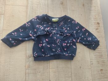 Veste 