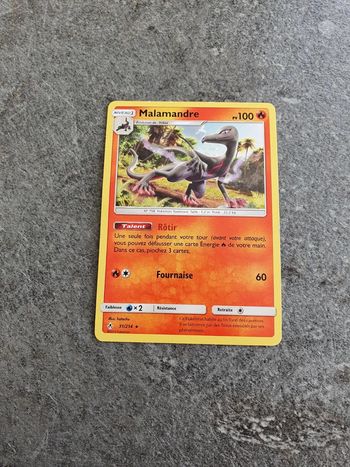Carte Pokemon Malamandre