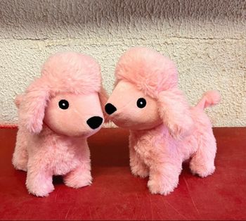 2 caniches interactives  