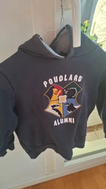 Pull officiel Harry Potter Wizarding World