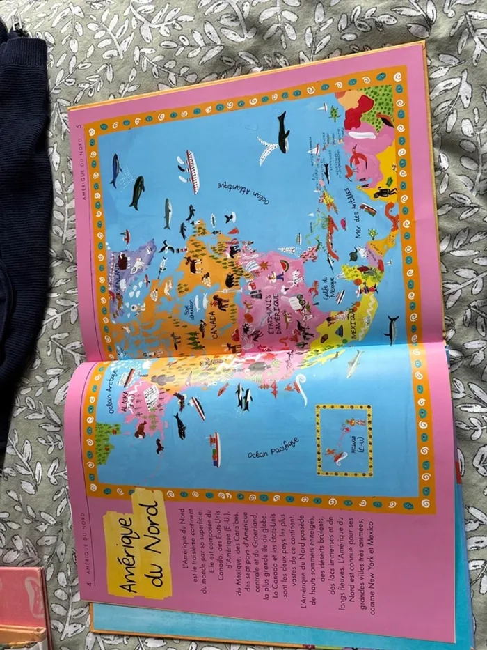 Mon petit atlas illustré - photo numéro 7