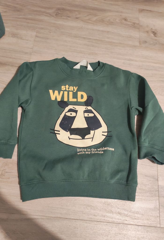 Pull Hetm garçon 2-4ans
