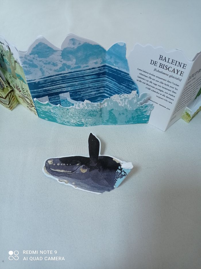 Livre panorama illustré animaux en danger - photo numéro 5