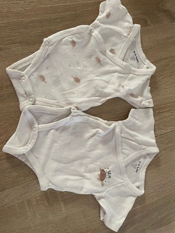 Bodies