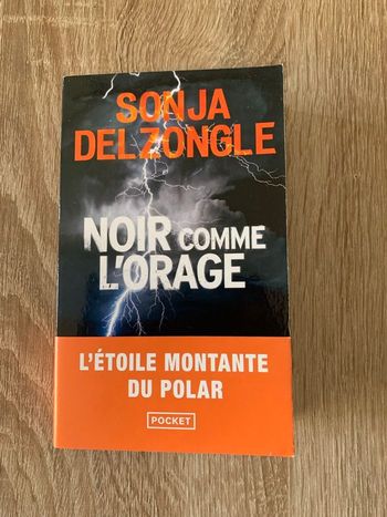 Noir comme l’orage 