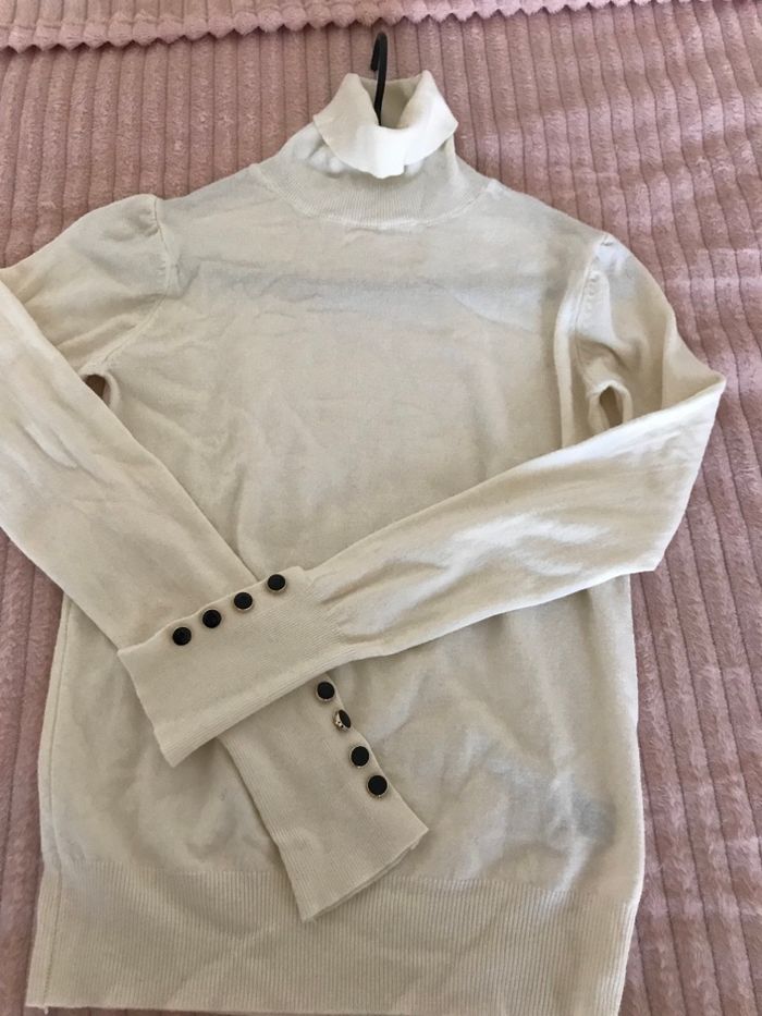 Pulls col roulé