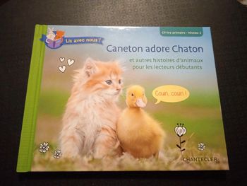 Caneton adore chaton