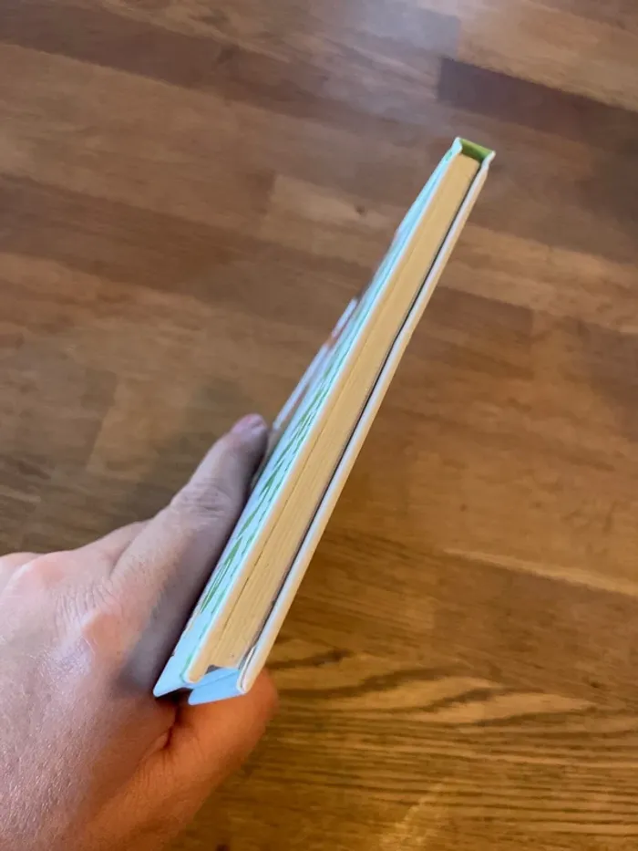 Livre Martine et le chaton vagabond - photo numéro 5