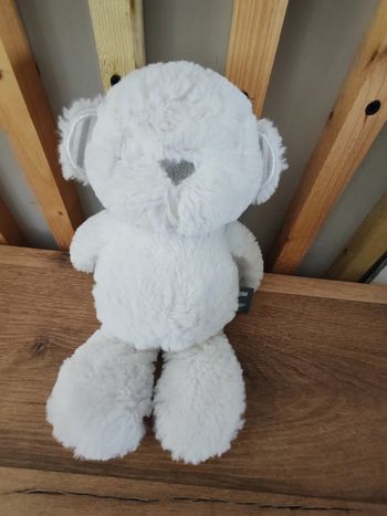 Lapin orchestra blanc oreilles rayé 