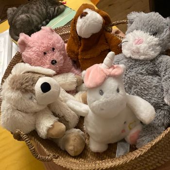 Grand choix bouillotte animaux enfant