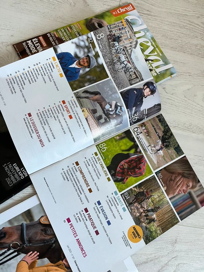 Lot cheval magazine 2023 - photo numéro 5