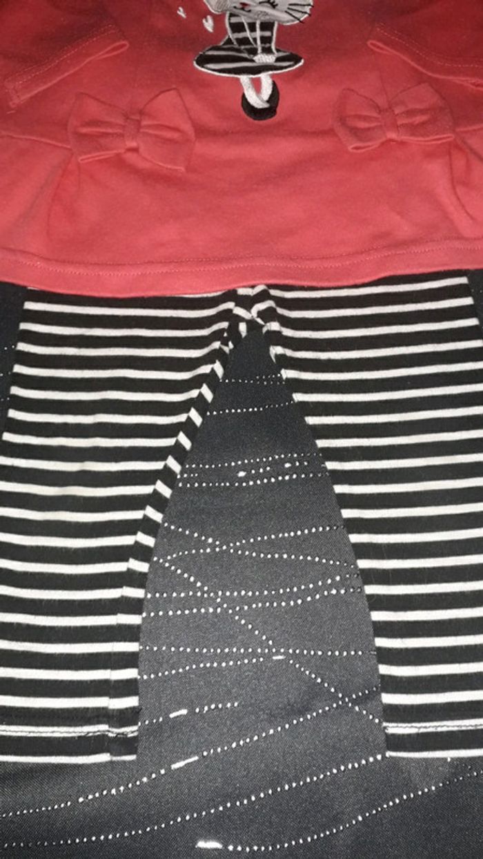 Ensemble chat - photo numéro 3