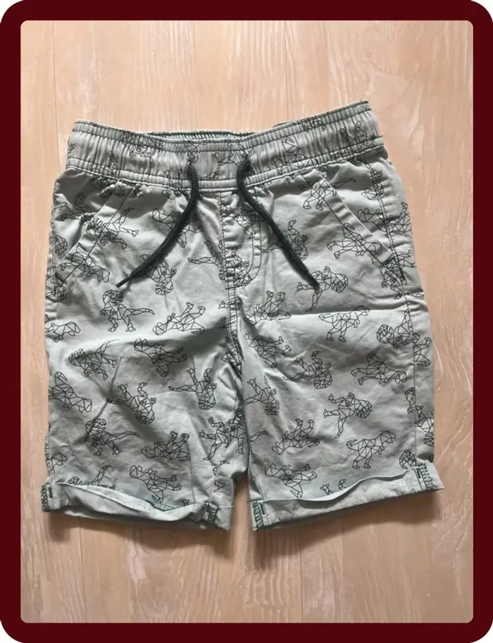 Short dinosaure