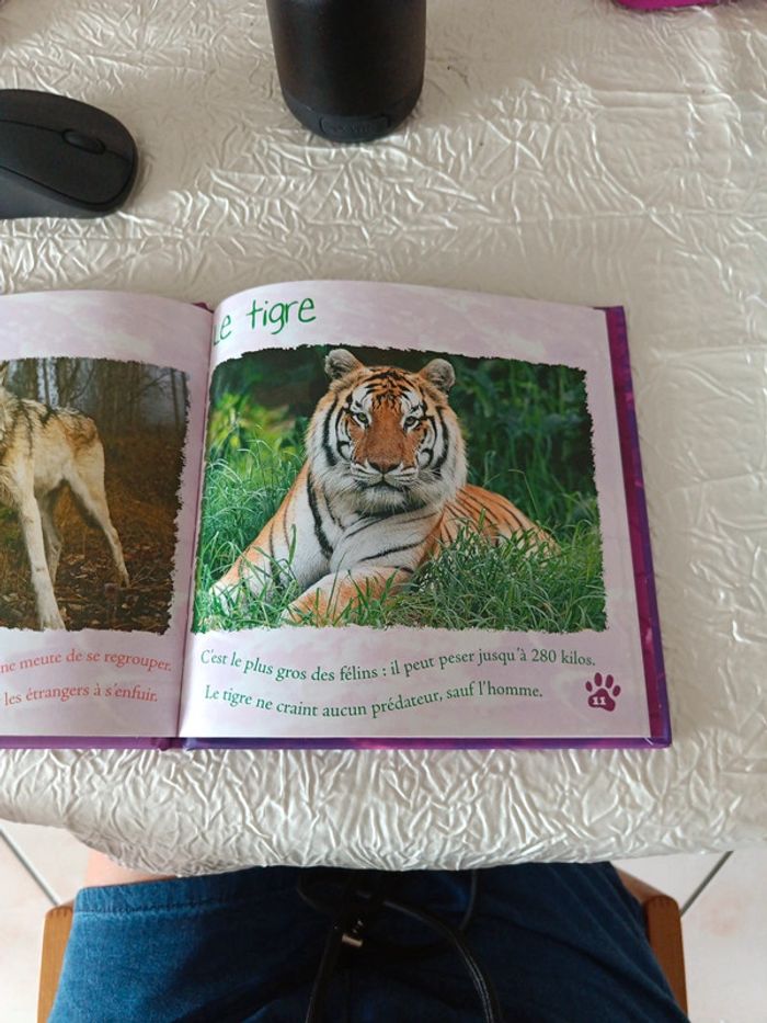 Livre les animaux Prédateurs - photo numéro 3