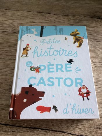 livre pour enfant petites histoires du père castor d’hiver
